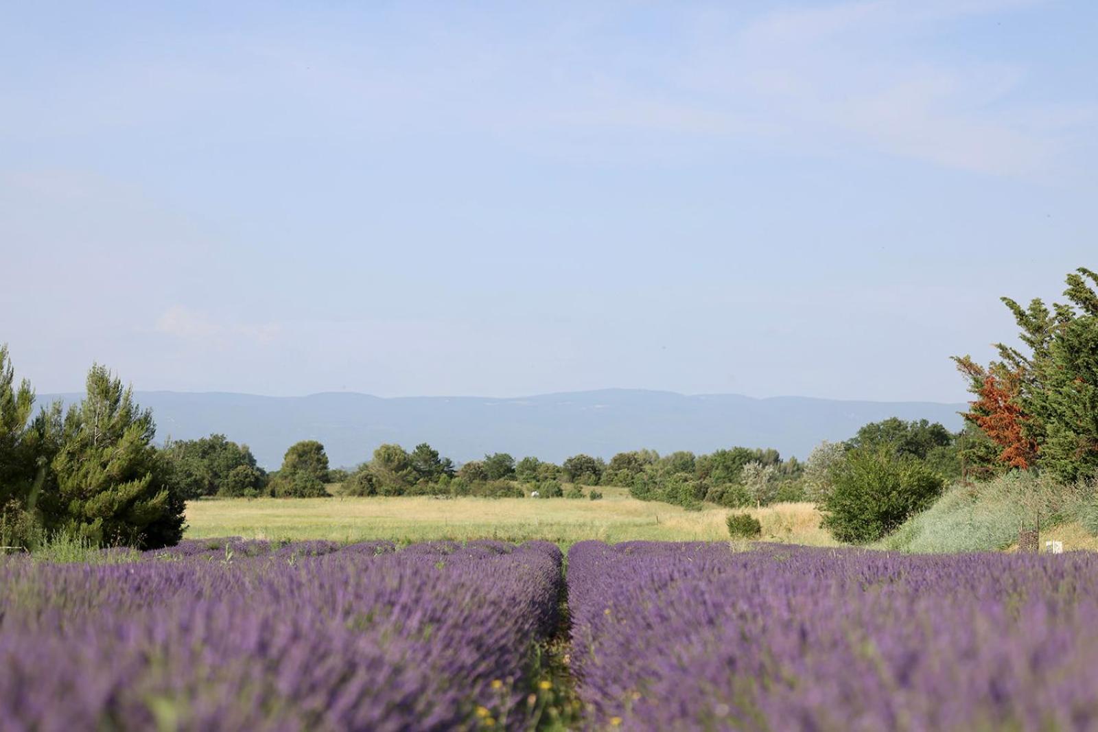 Le Mas Les Eydins Bonnieux Esterno foto