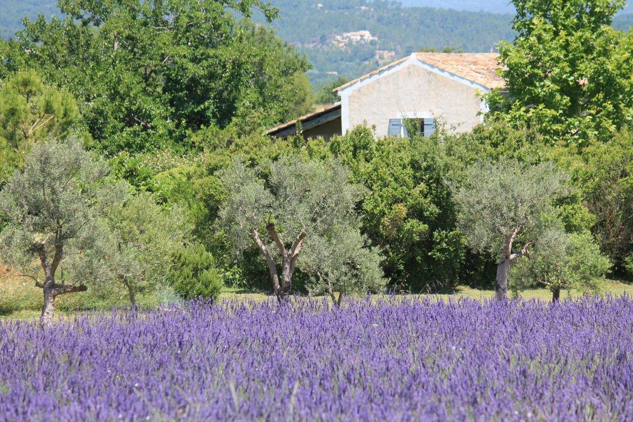 Le Mas Les Eydins Bonnieux Esterno foto